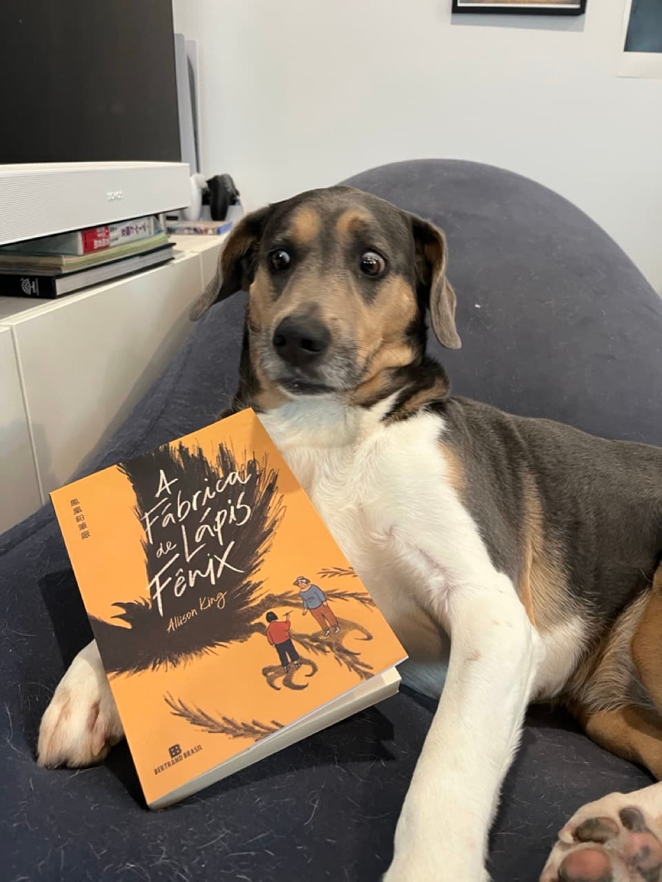 Woody with the Brazil edition of The Phoenix Pencil Company